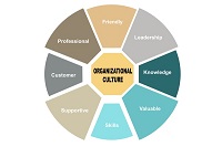 Văn hóa tổ chức là gì? Lý thuyết về văn hóa tổ chức của doanh nghiệp